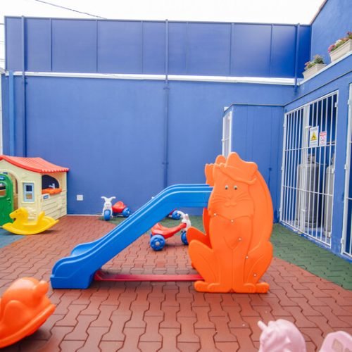 Escola pública (37)