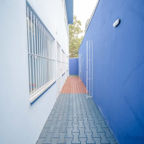 Escola pública (45)