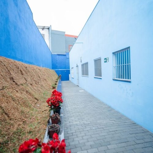 Escola pública (84)