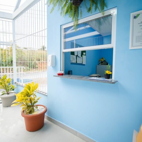 Escola pública (87)